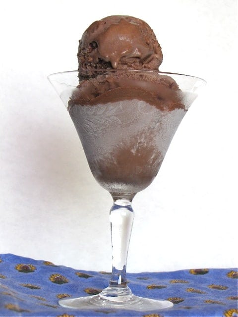 Chocolate Cinnamon Chip Ice Cream