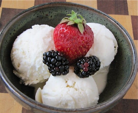 Bowl of vanilla ice cream with berries