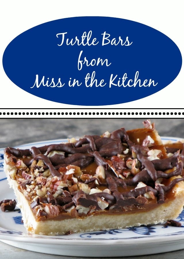 Turtle Bars
