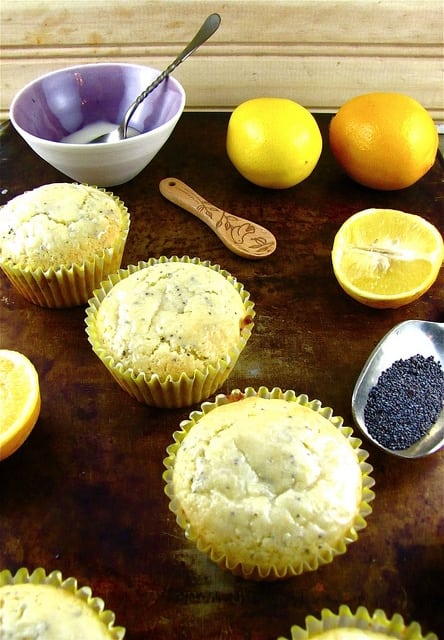 Meyer Lemon Poppy Seed Muffins | Miss in the Kitchen