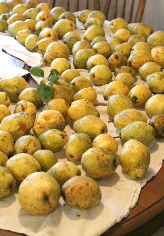 pears