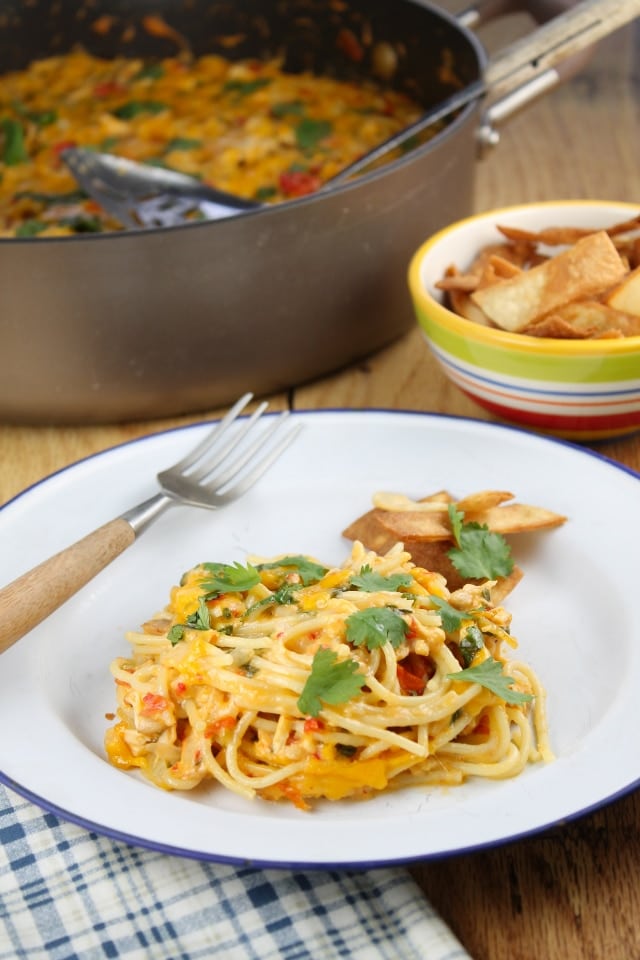 Chicken Spaghetti from The Homesick Texan's Family Table found at missinthekitchen.com