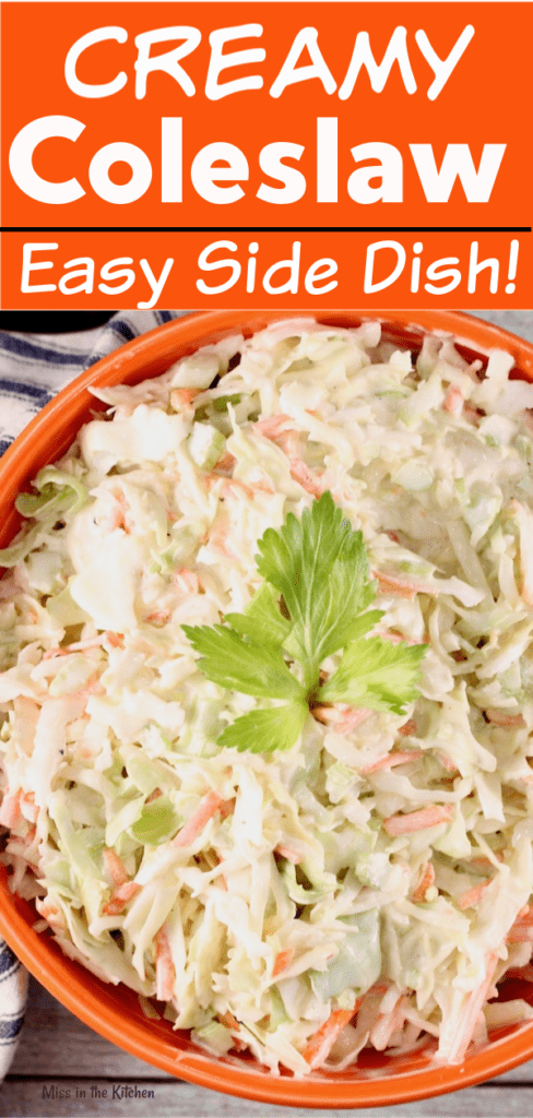 Creamy Coleslaw Recipe