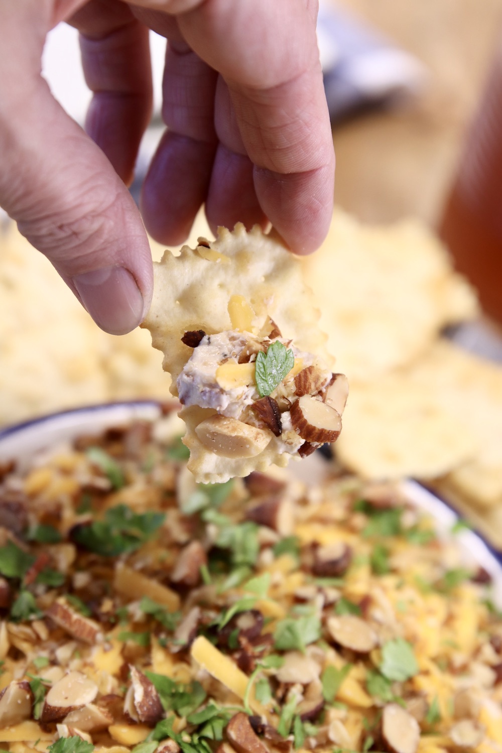 chip with million dollar party dip