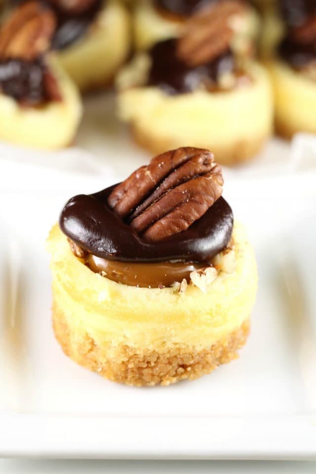 Mini Turtle Cheesecakes Recipe 