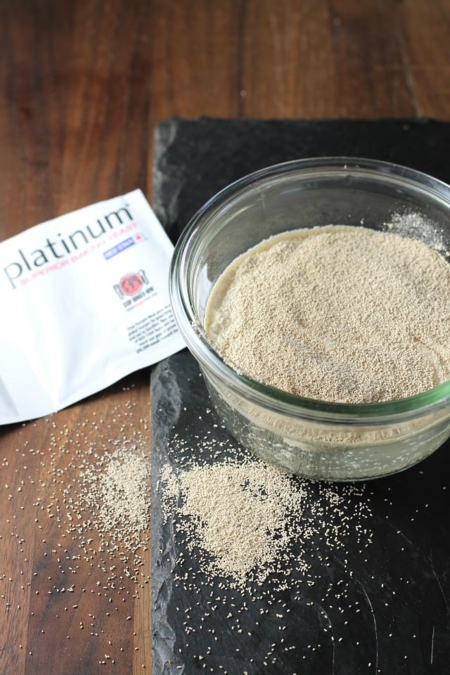 Platinum Red Star Yeast makes the best bread ~ White Cheddar Potato Rolls 