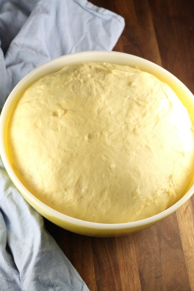 Risen Dough for White Cheddar Potato Rolls 