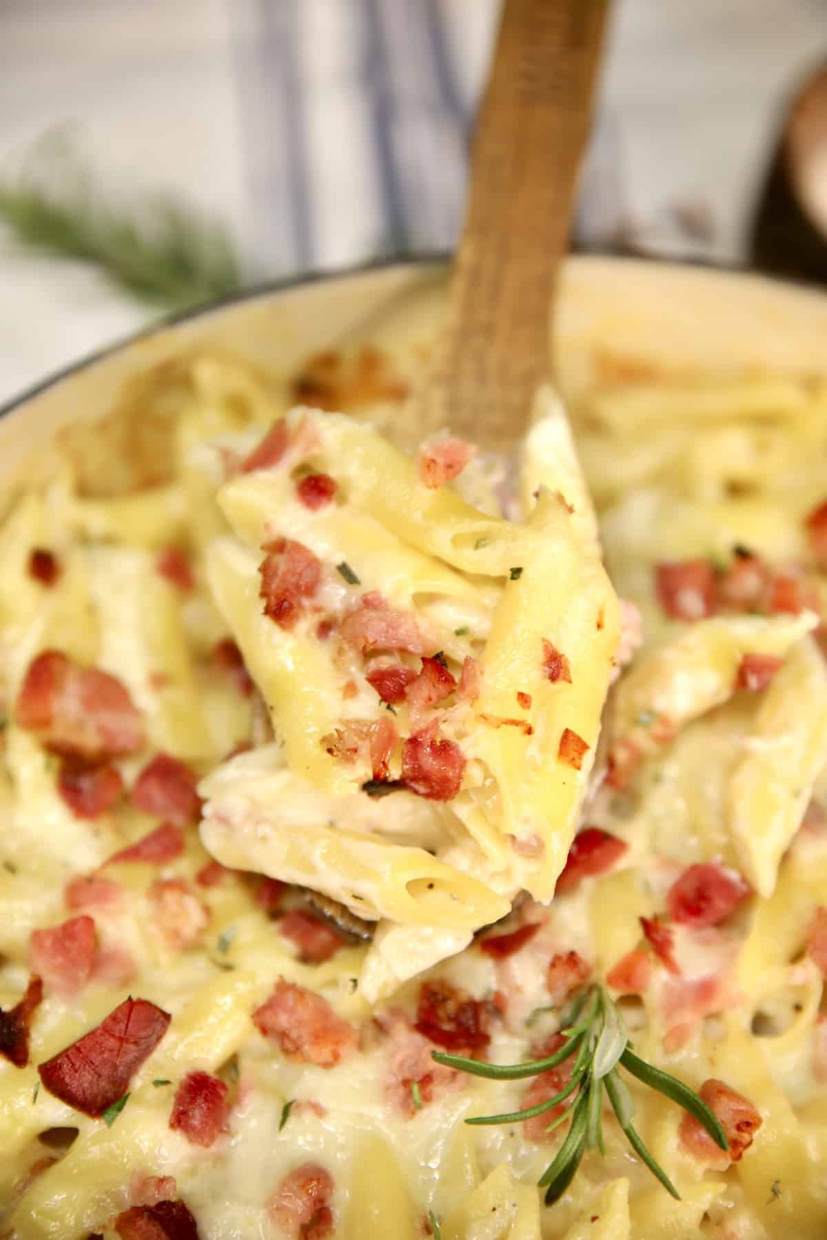 Spoonful of pasta casserole. 