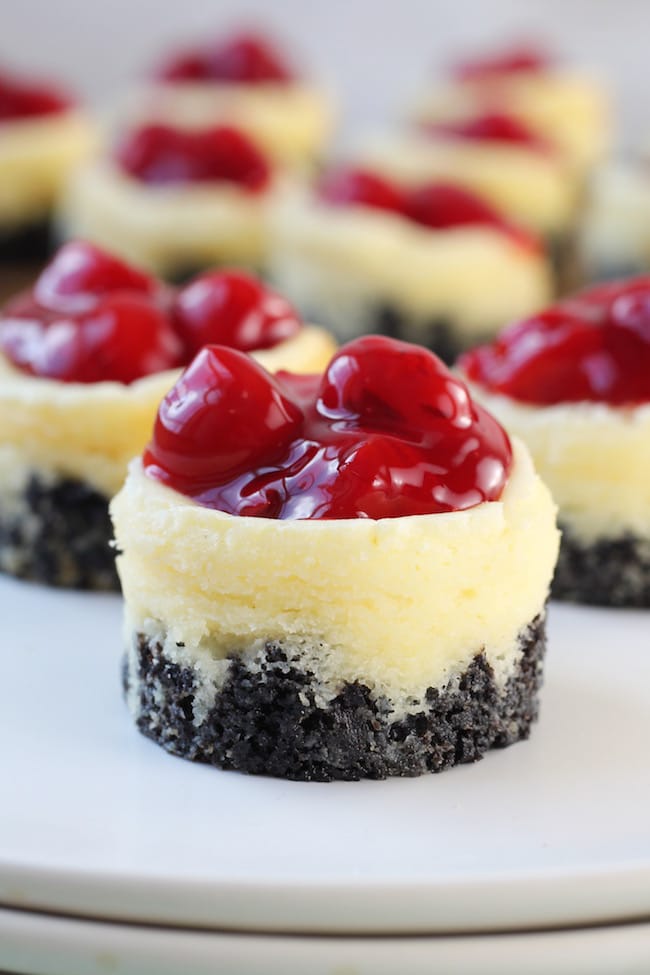 Mini Cherry Cheesecake Dessert
