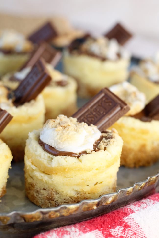 Mini S'mores Cheesecake Dessert