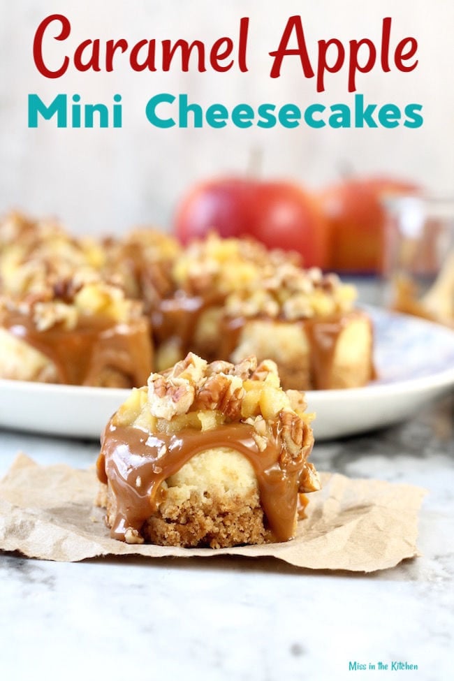Caramel Apple Mini Cheesecakes Dessert