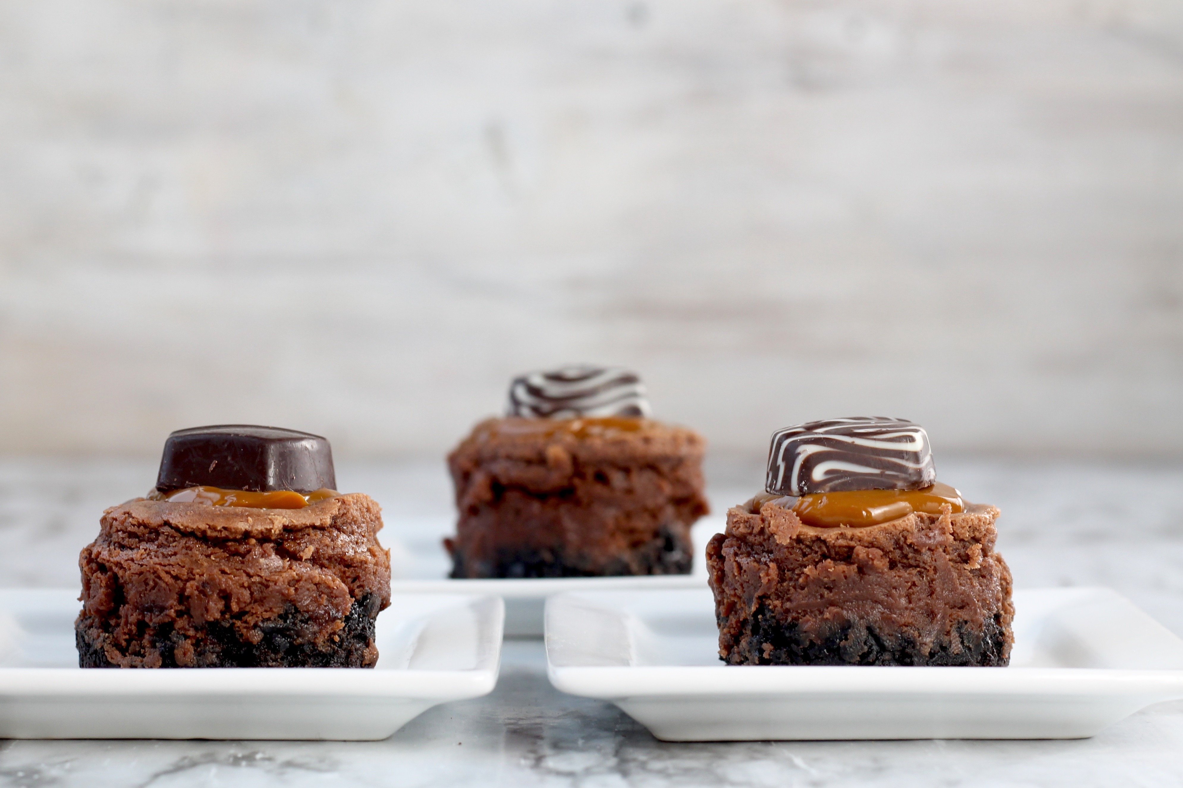 Mini Dove Cheesecakes plated