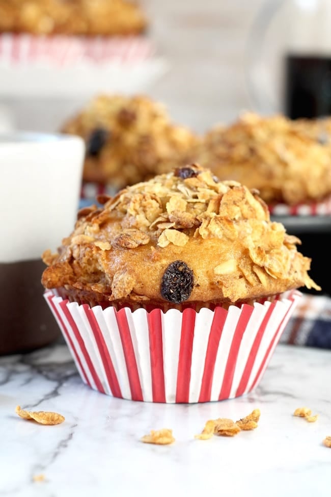 Breakfast Muffins with dates, raisins and pecans