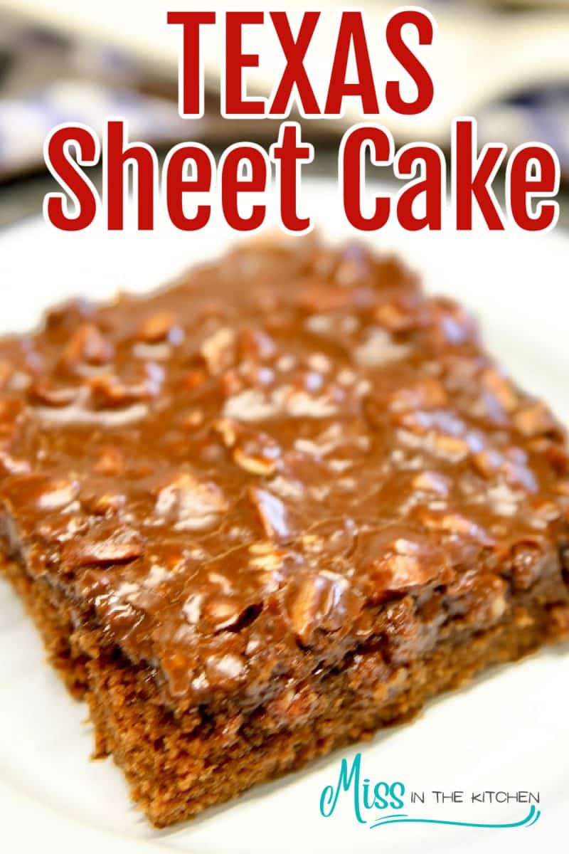 Slice of chocolate sheet cake with pecan icing.
