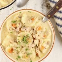 Bowl of turkey and dumplings