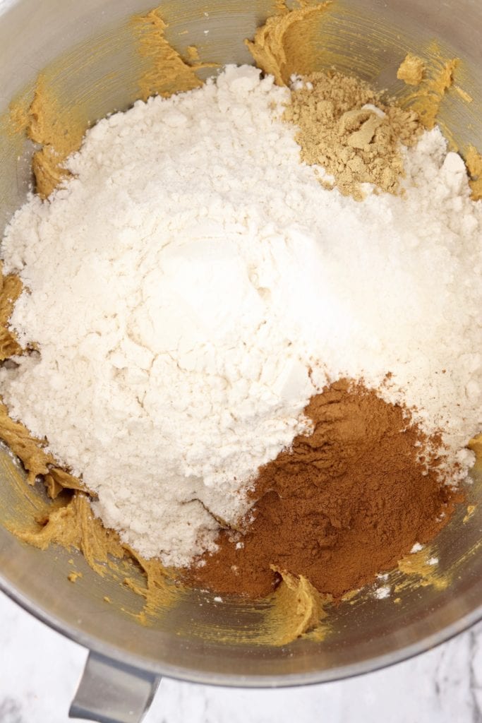 Flour and spices in Molasses cookie dough