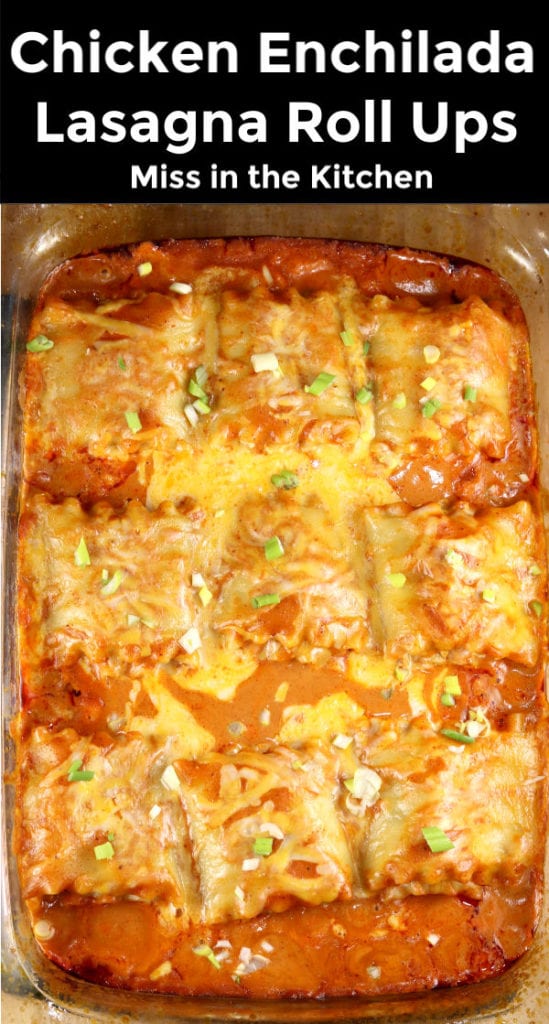 Chicken Enchilada Lasagna Roll Ups