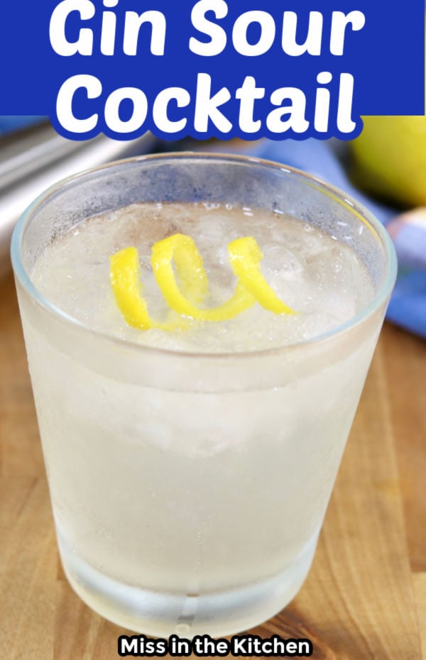 Gin Sour Cocktail with text overlay
