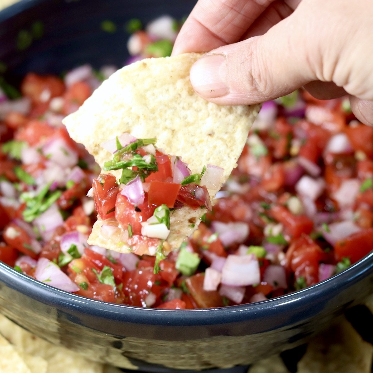 Pico de Gallo in a black bowl, dipped with a tortilla chip