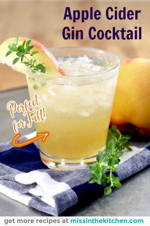 Apple Cider Gin Cocktail