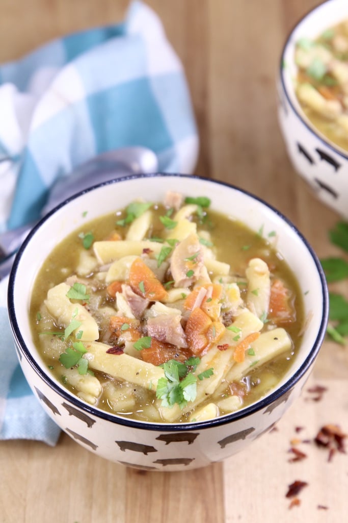 Bowl of turkey noodle soup