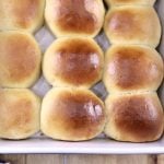 Hawaiian Rolls close up in a pan