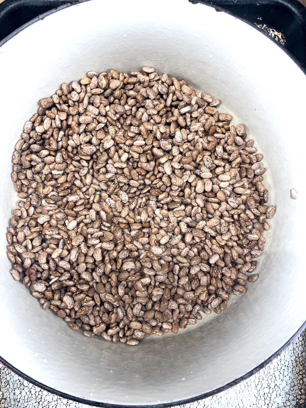 dry pinto beans in a large bowl