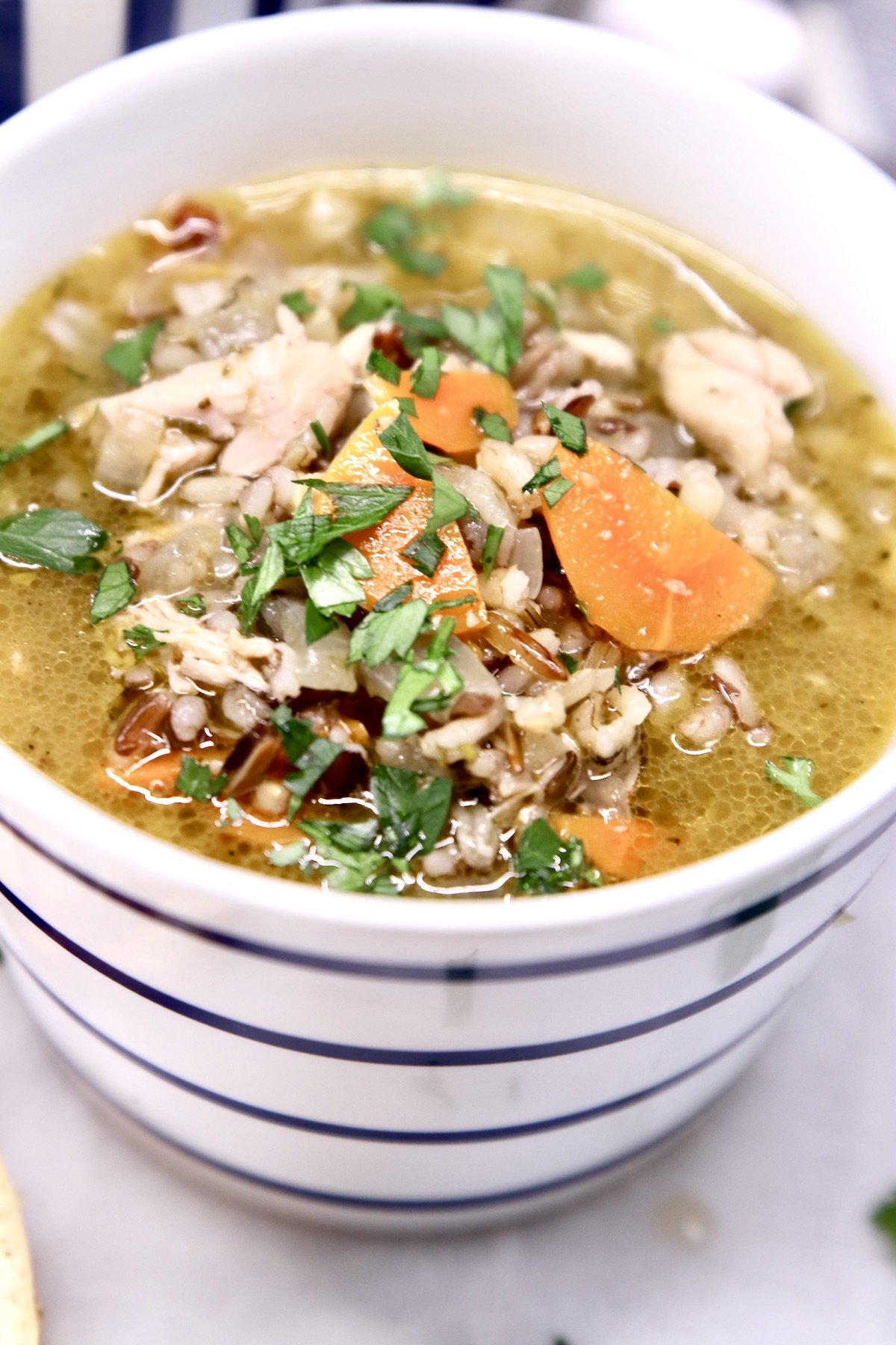 closeup of mug of chicken and wild rice soup