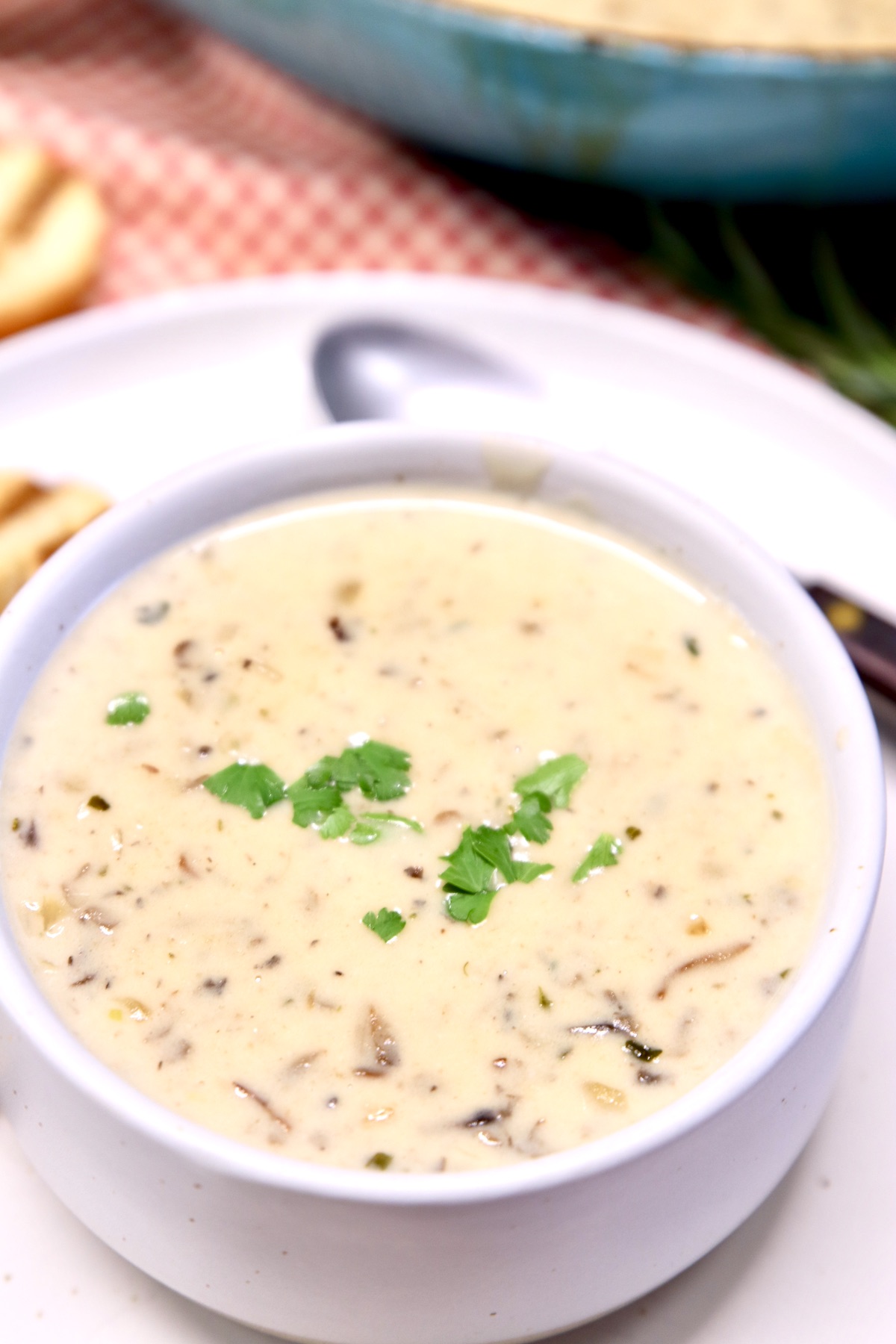 closeup of bowl of cream of mushroom soup