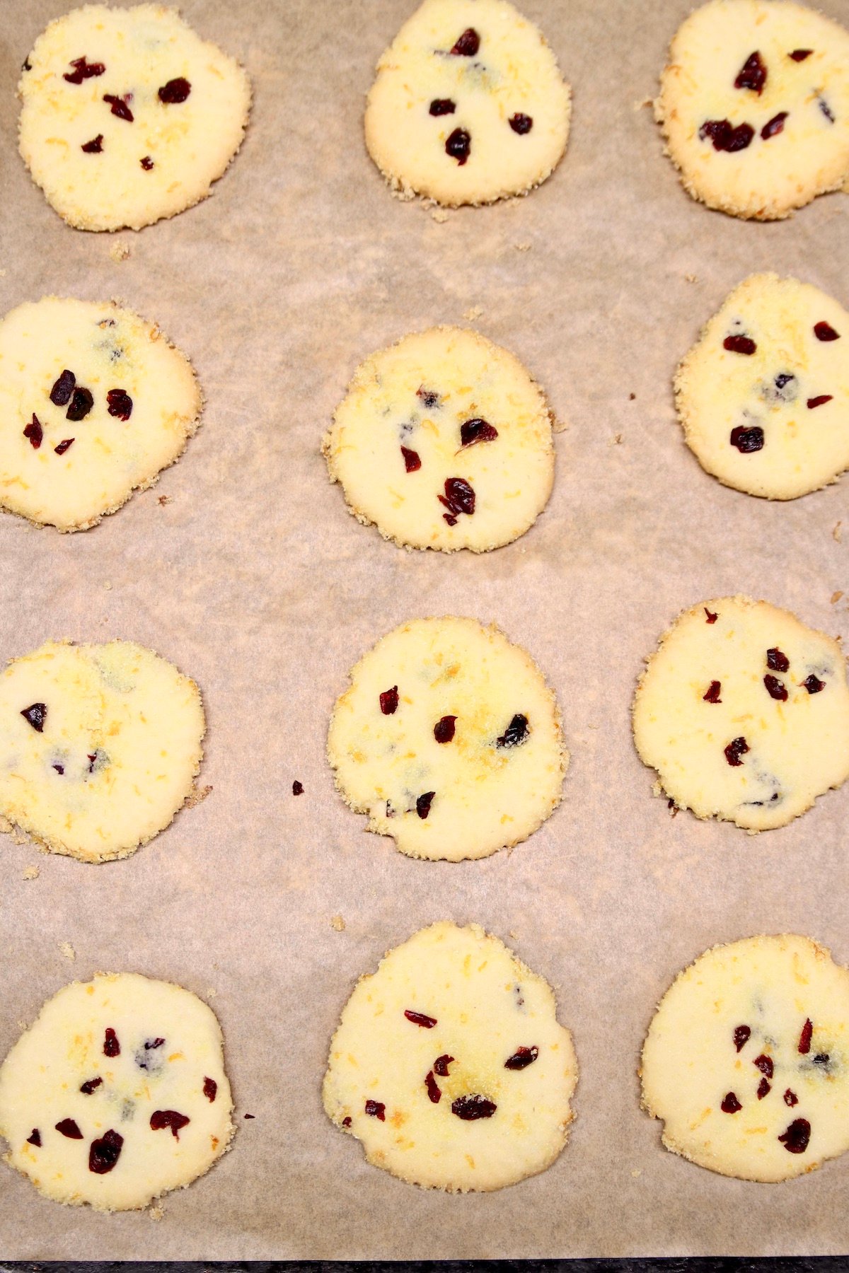 orange cranberry cookies on parchment paper 