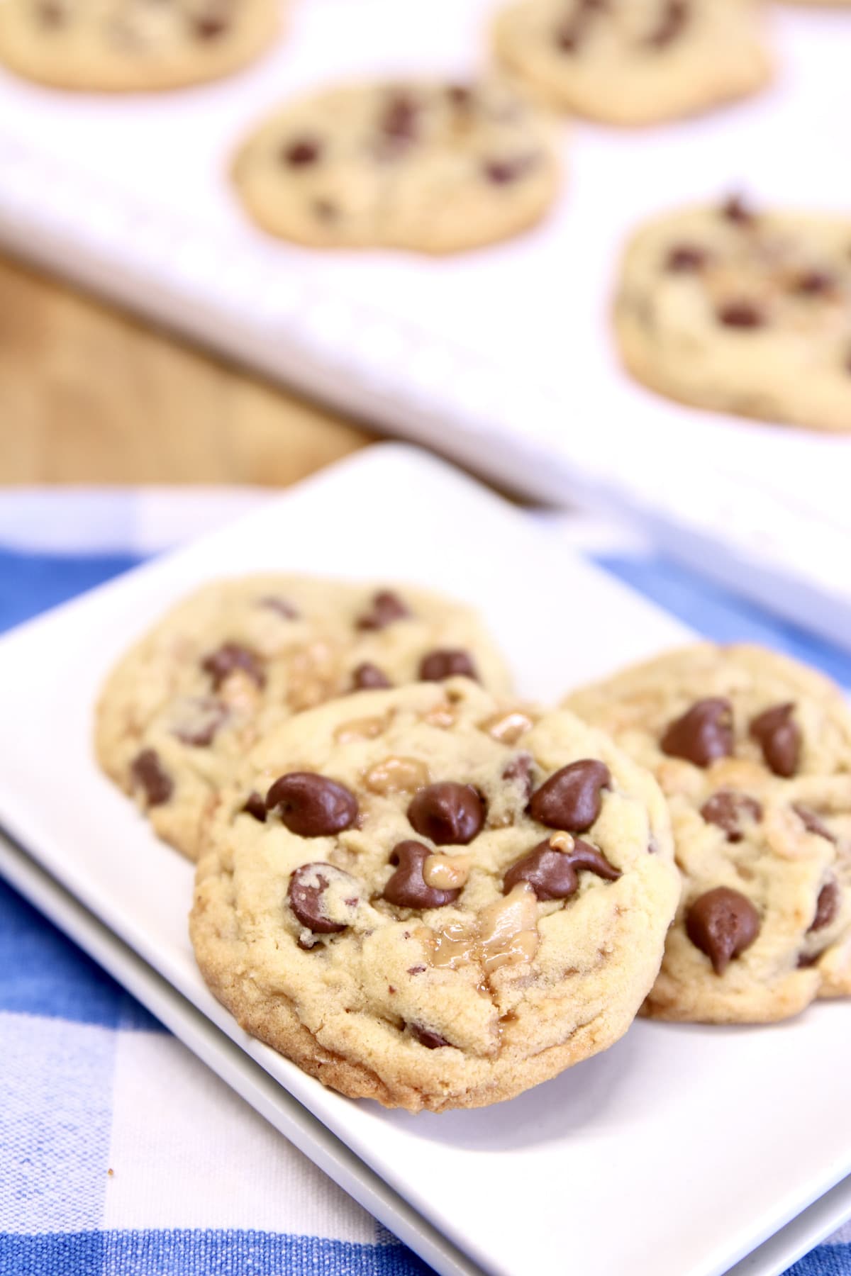 Plate of chocolate chip cookies.