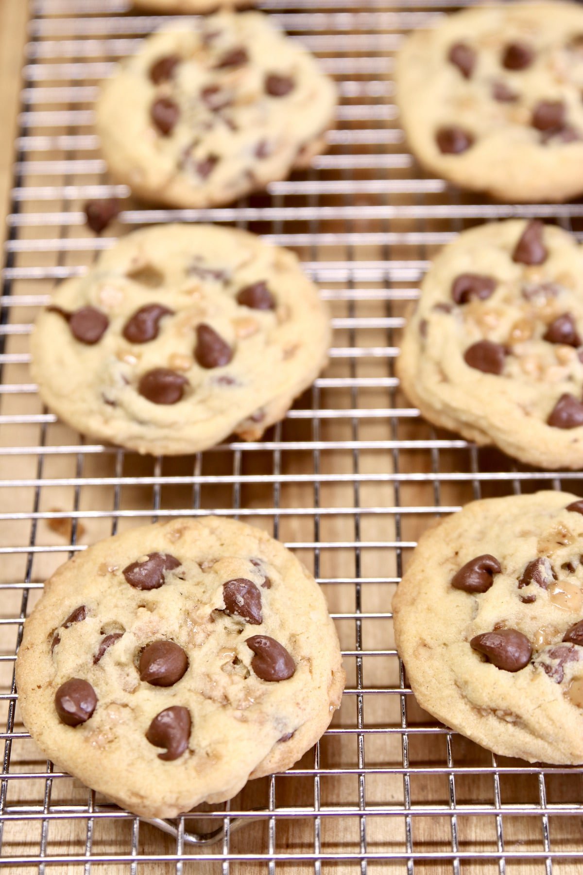 Chocolate chip cookies on a wire cooling rack.