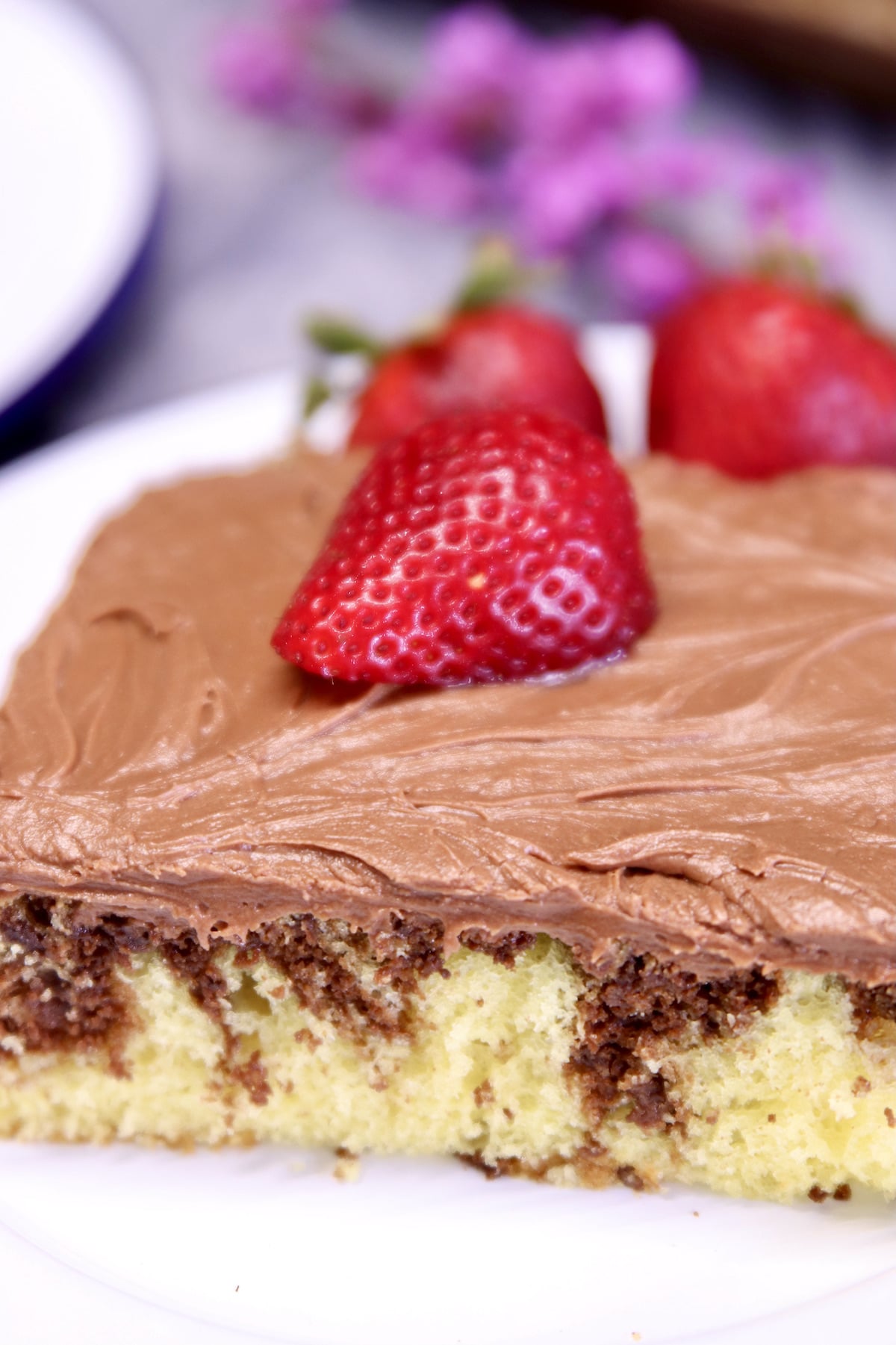 Chocolate marble sheet cake slice with strawberry- closeup.