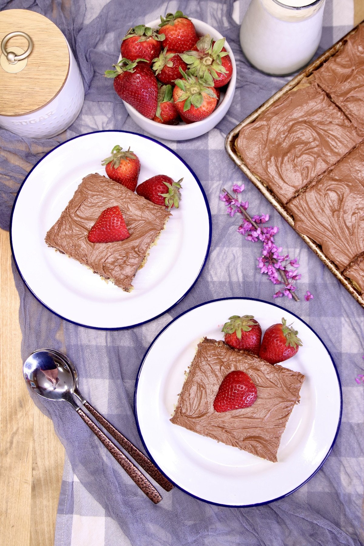 Overhead - 2 slices chocolate cake with strawberries.