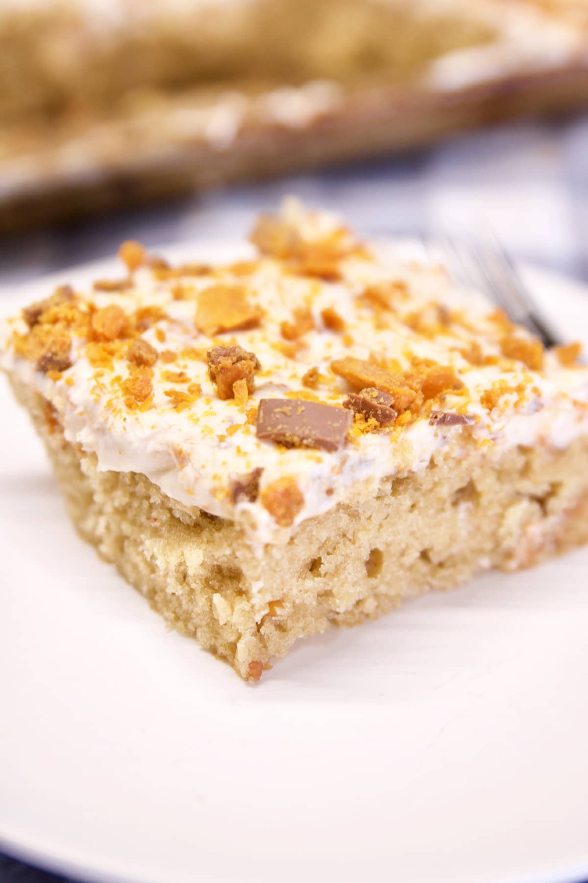 Slice of peanut butter sheet cake.