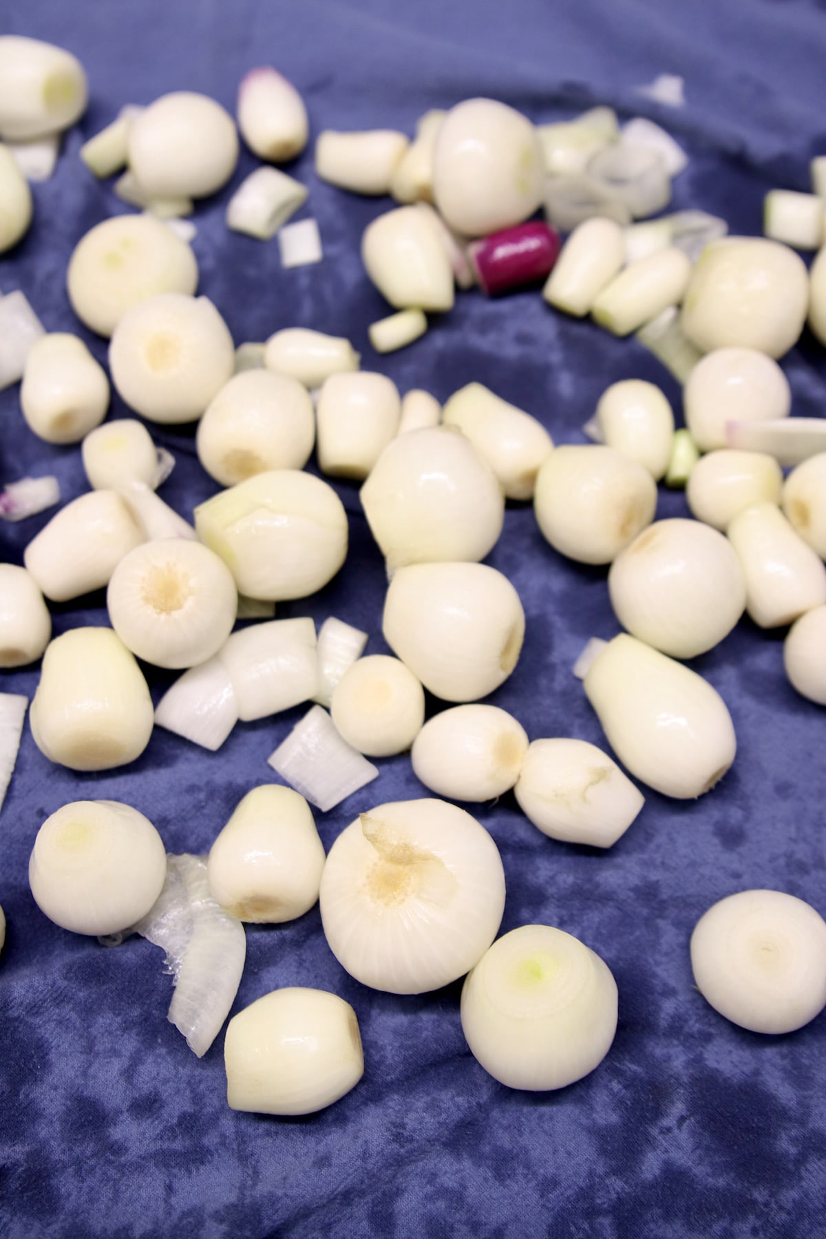 Small onions on a flour sack towel.