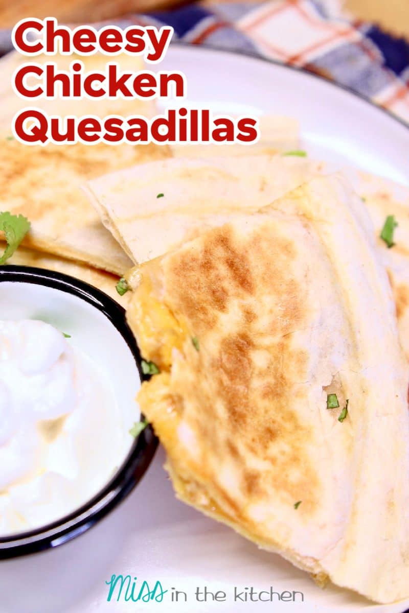 Cheesy Chicken Quesadillas