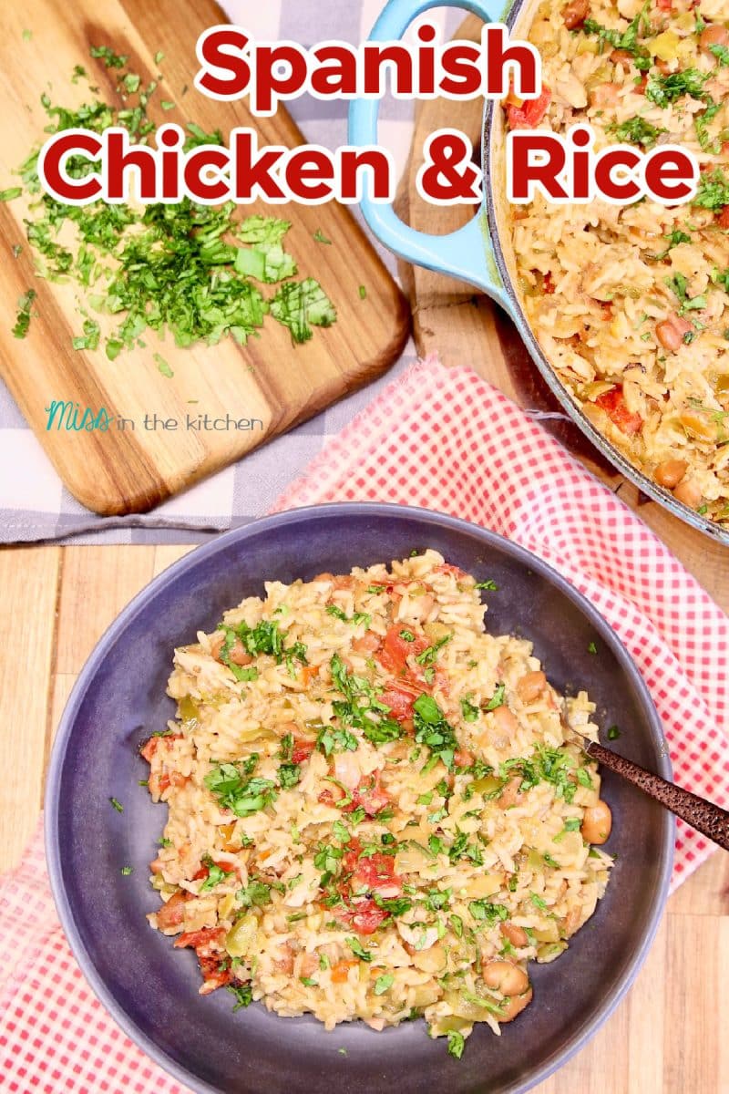 Overhead view - bowl of chicken and rice.