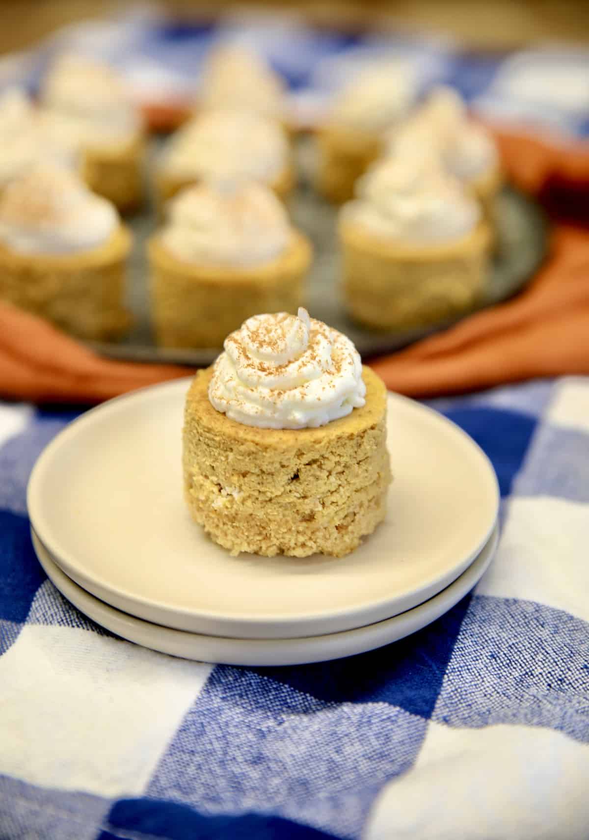 Mini Pumpkin cheesecake on a small plate.