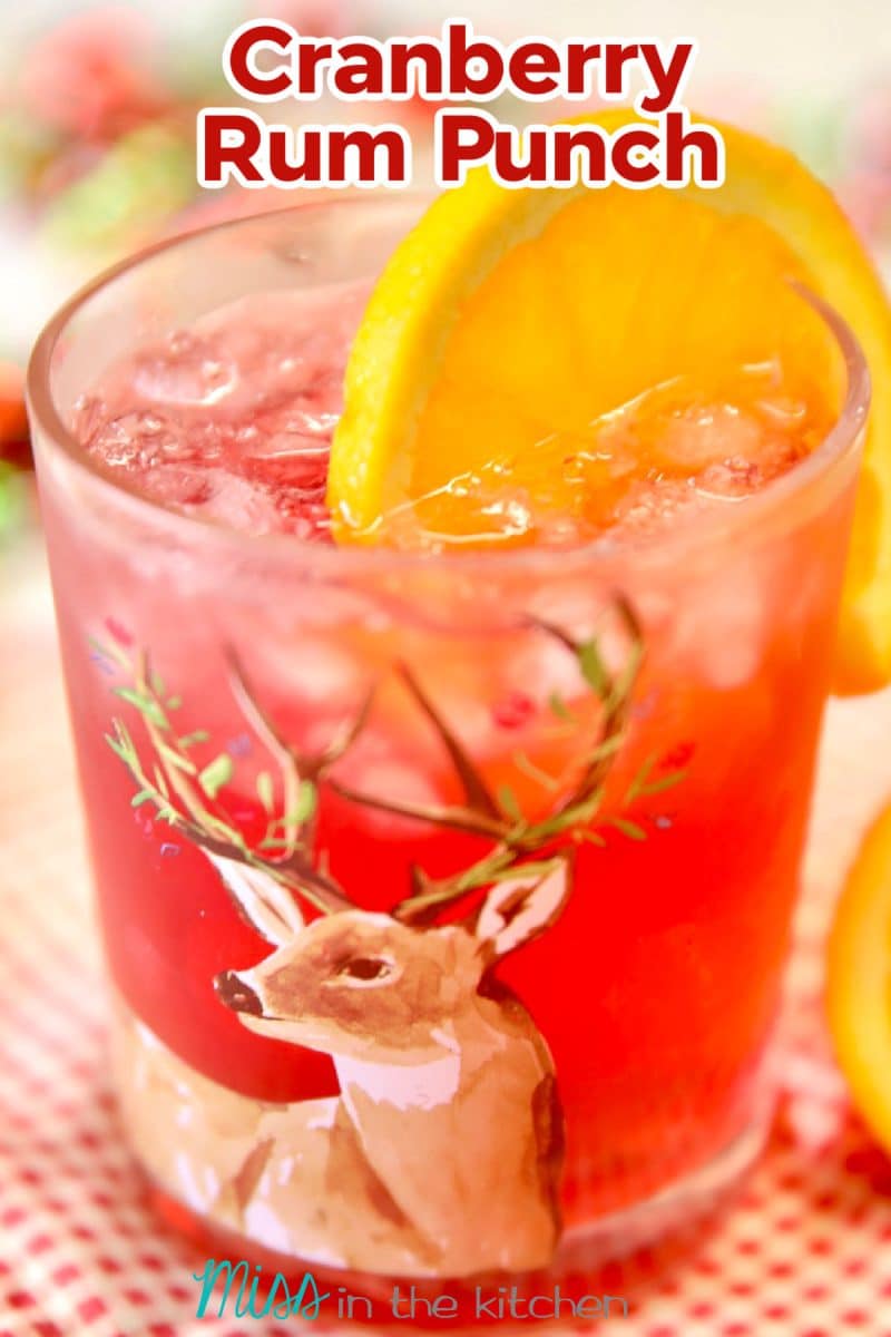 Cranberry Rum Punch in a glass - text overlay.
