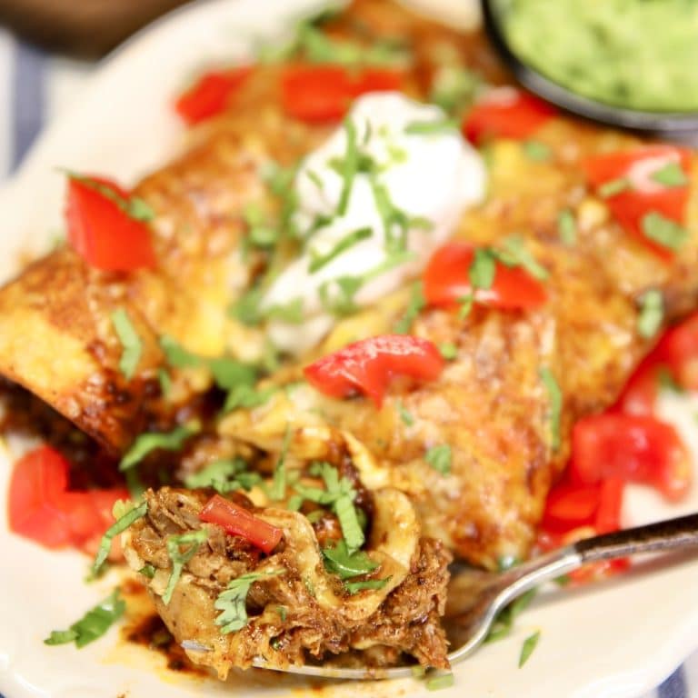 2 brisket enchiladas on a plate with tomatoes, sour cream.