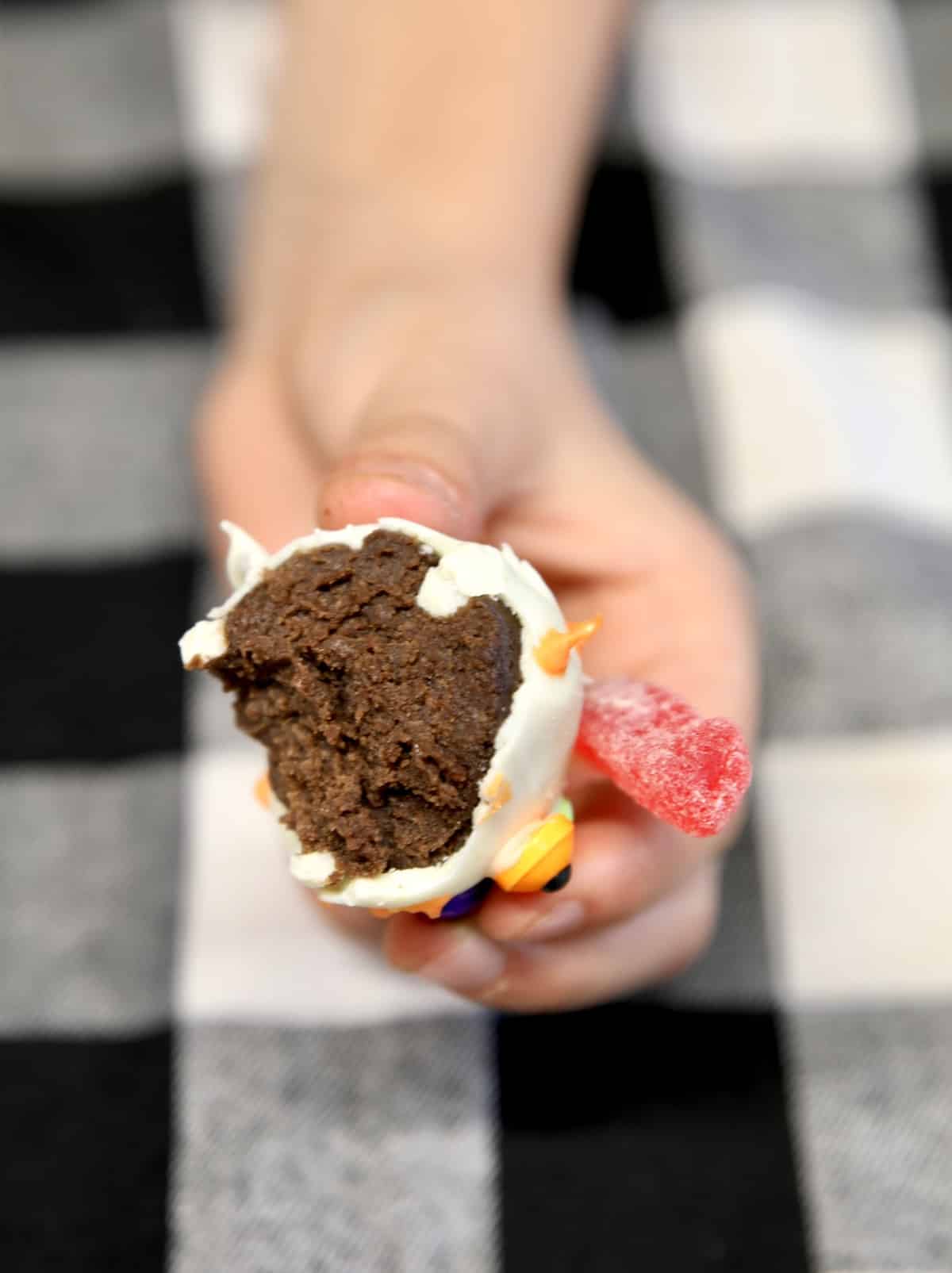 Hand holding chocolate cake ball.
