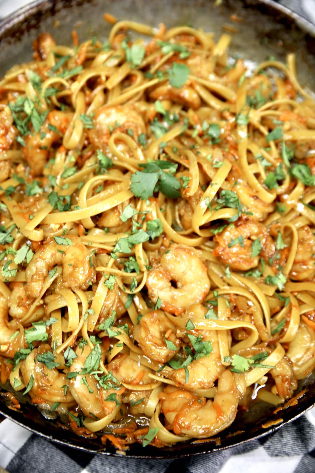 Hoisin Shrimp with stir fry vegetables and noodles. Skillet with Hoisin shrimp stir fry.