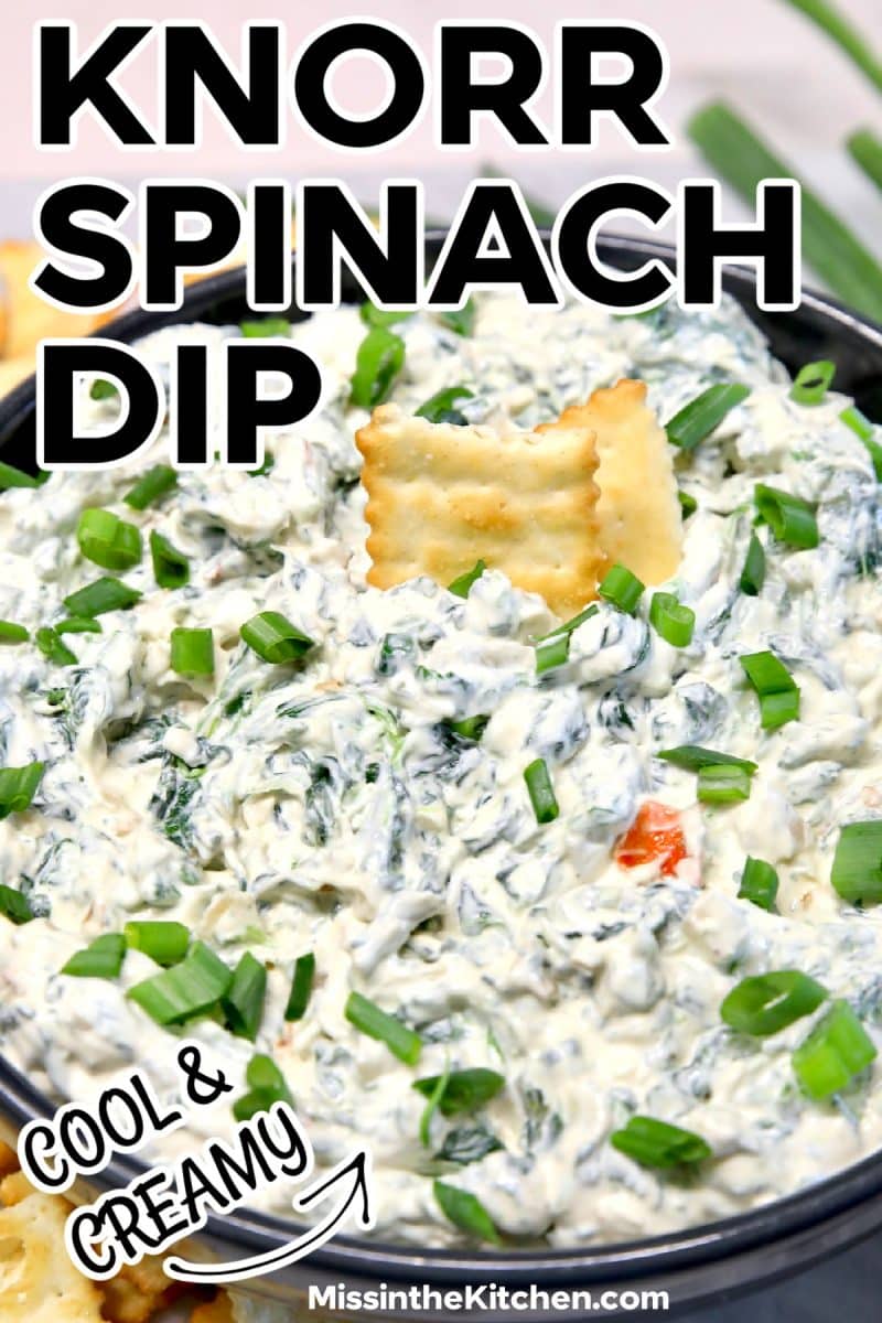 Bowl of knorr spinach dip with cracker - text overlay.