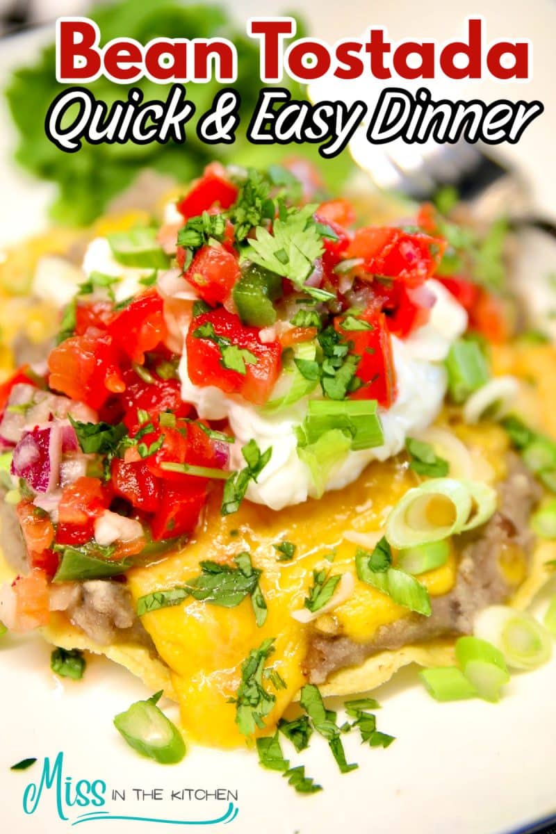 Bean tostada on a plate - text overlay.