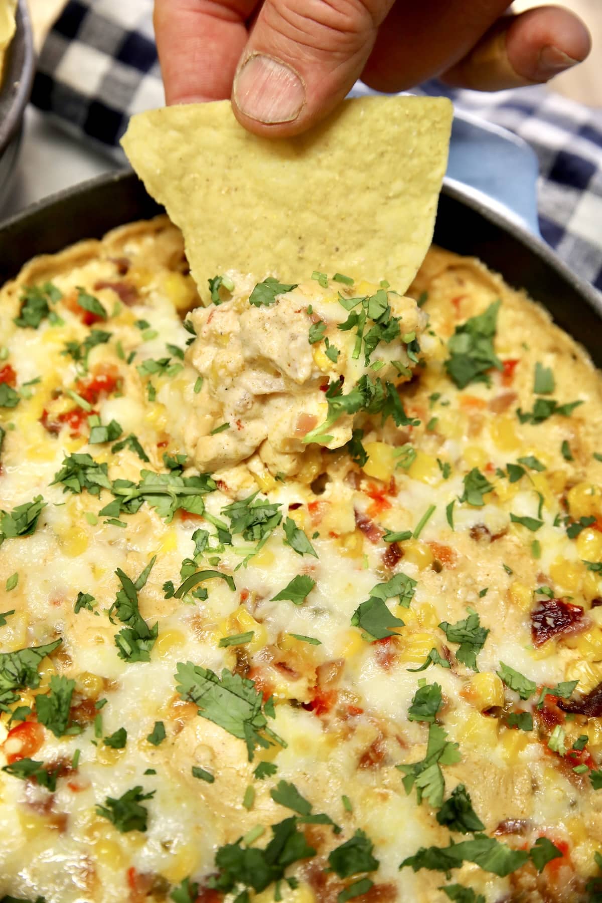 Mexican appetizer with tortilla chip.