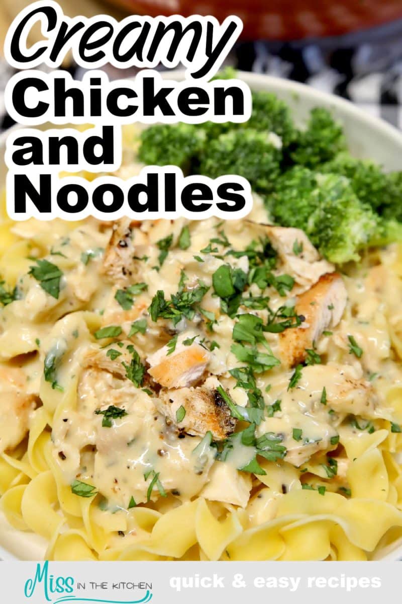 Creamy chicken and noodles in a bowl - text overlay.