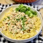 Bowl of chicken and noodles.