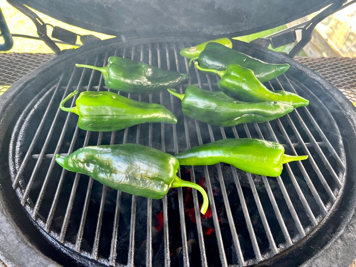 Poblano peppers on a grill.